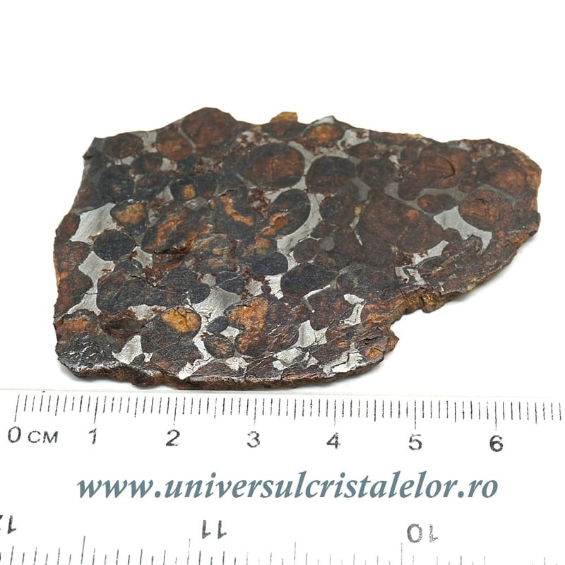 Meteorit Sericho Pallasite
