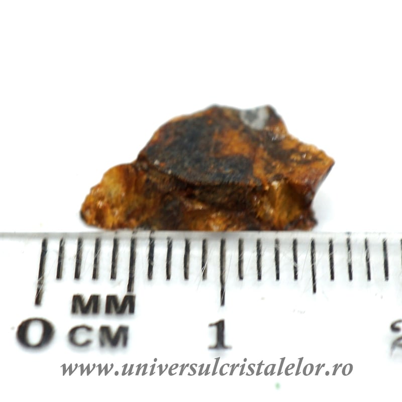 Meteorit Sericho Pallasite