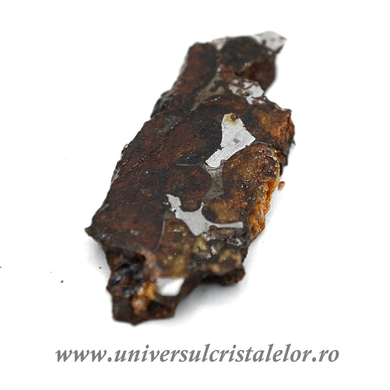 Meteorit Sericho Pallasite