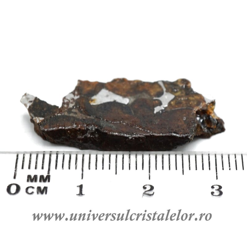 Meteorit Sericho Pallasite