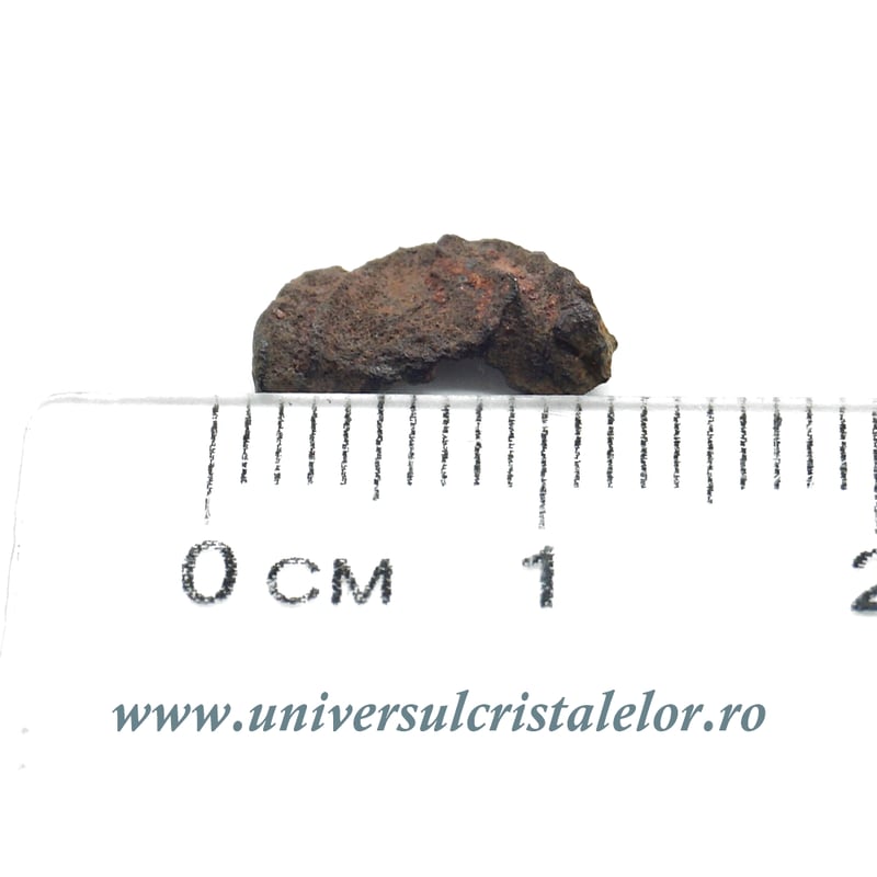 Meteorit Sericho Pallasite