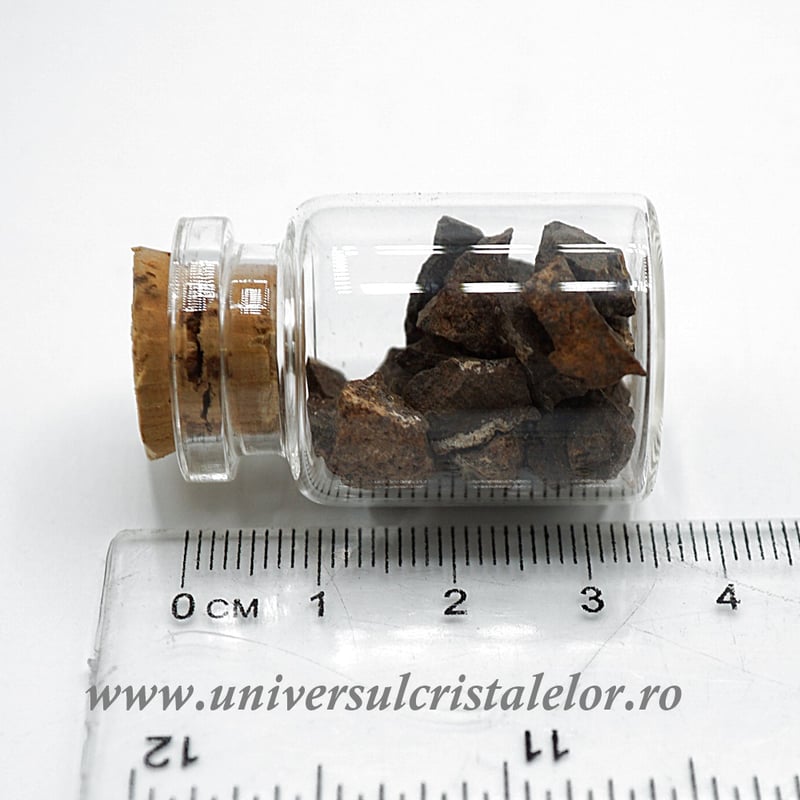 Sticluta Meteorit Condrit