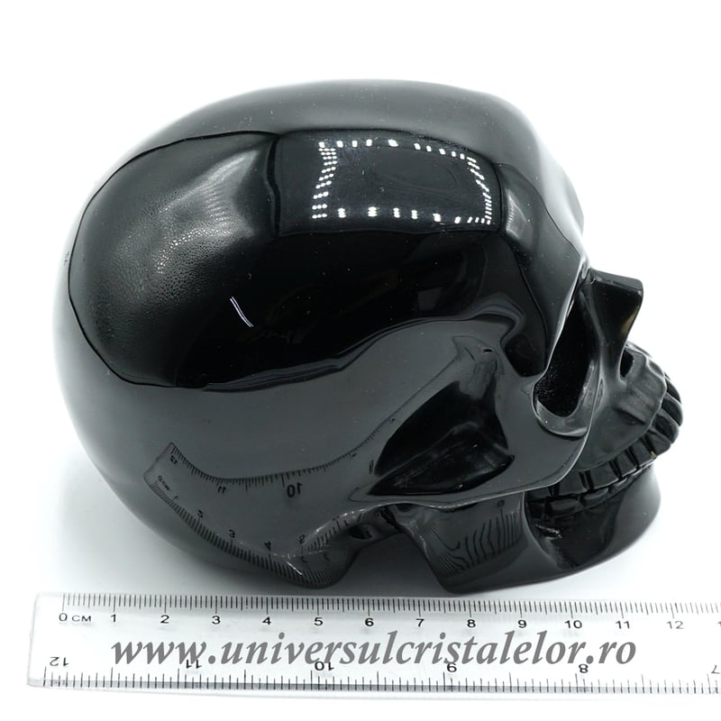 Craniu obsidian negru m1