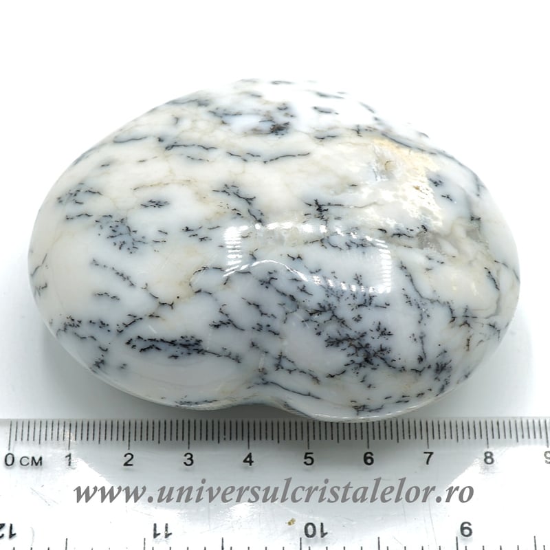 Inima agat dendritic