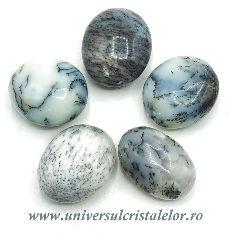 Opal dendritic polisat