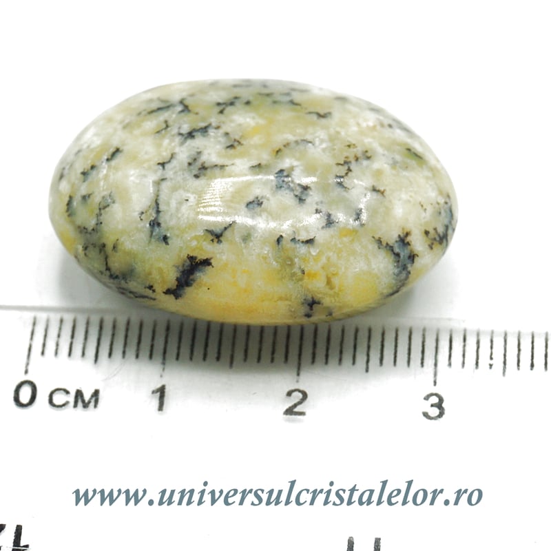 Opal dendritic polisat