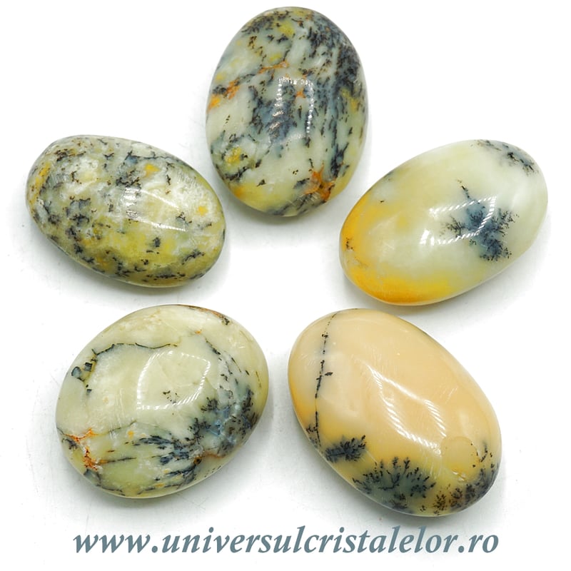 Opal dendritic polisat