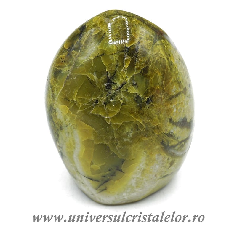 Sculptura opal fistic