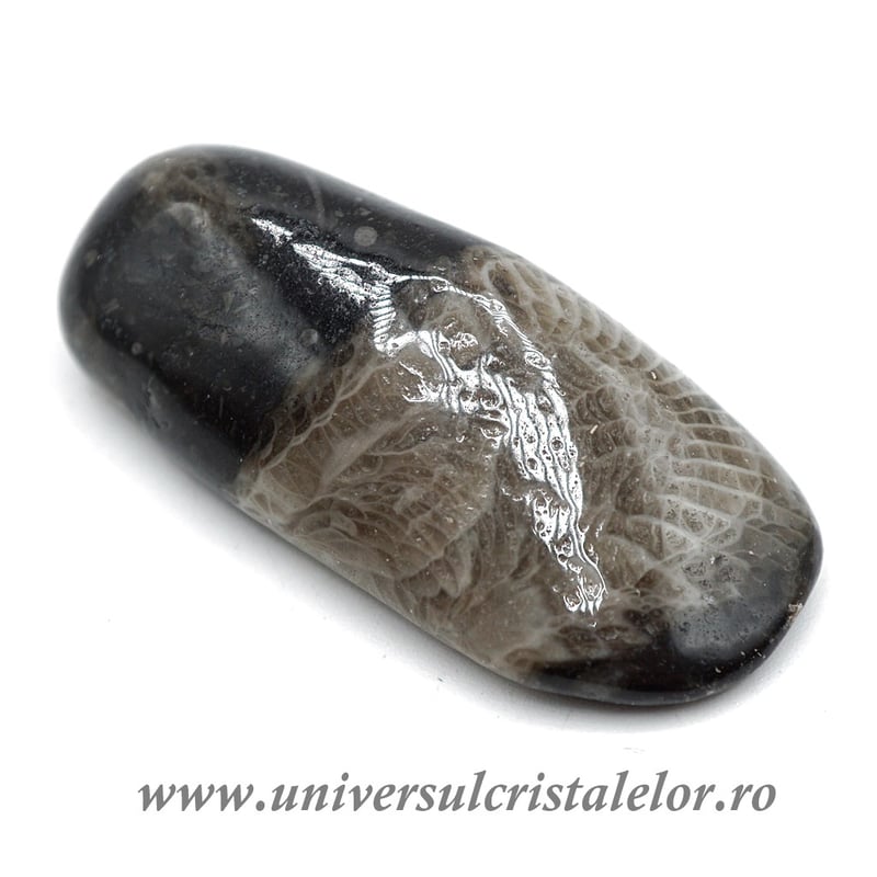 Piatra Vaticanului piatra rulata m1