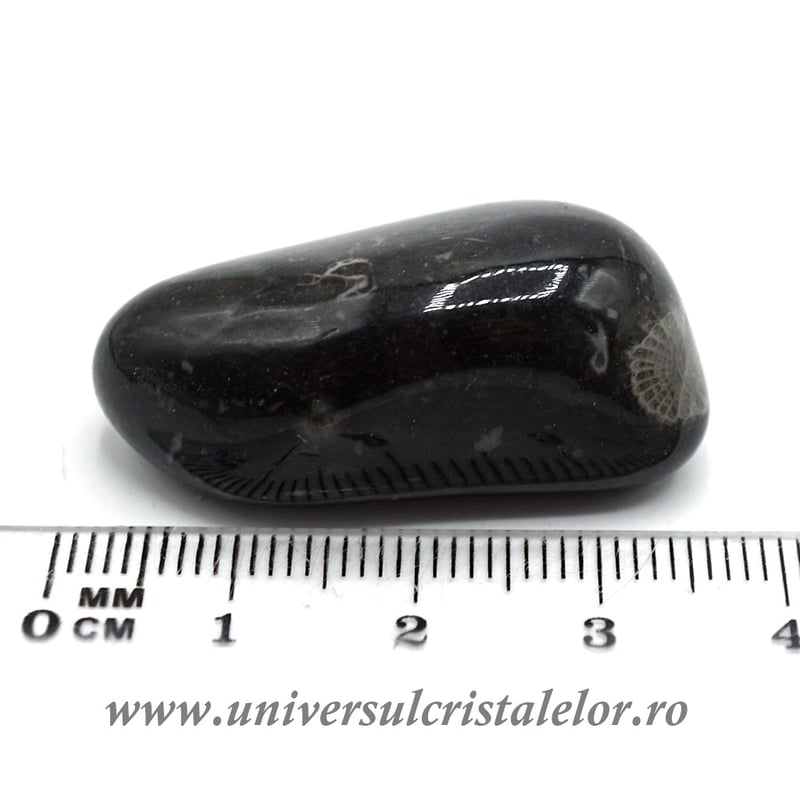 Piatra Vaticanului piatra rulata m6