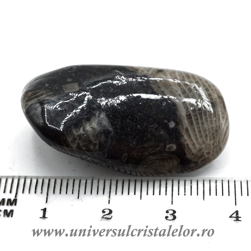 Piatra Vaticanului piatra rulata m2