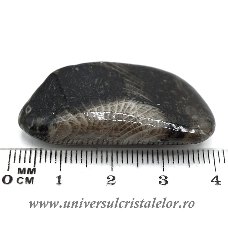 Piatra Vaticanului piatra rulata m3