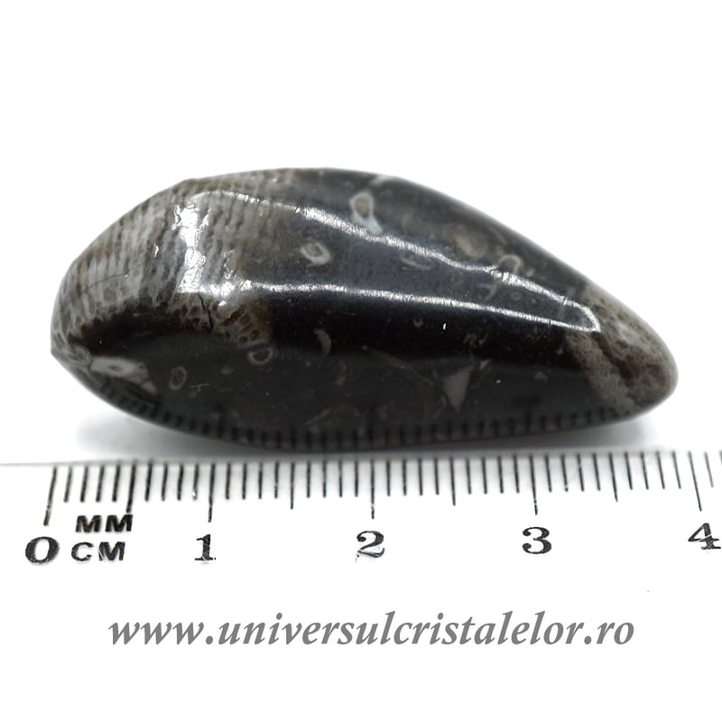 Piatra Vaticanului piatra rulata m5