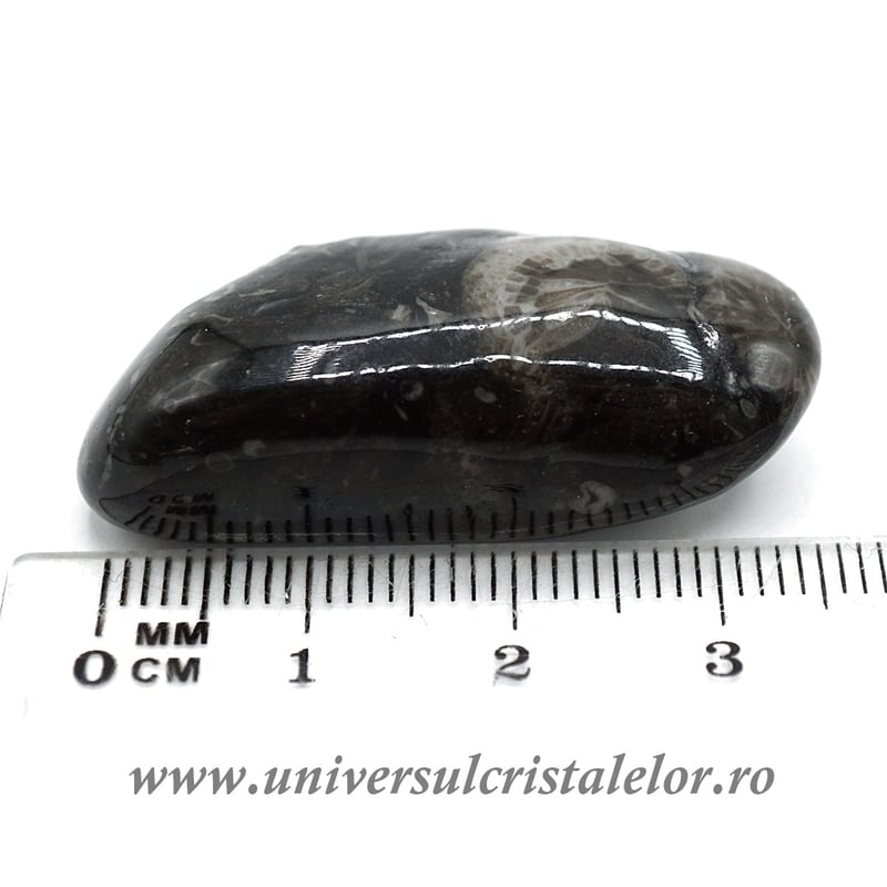 Piatra Vaticanului piatra rulata m6