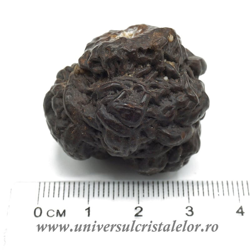 Piatra Profetiei (Piatra profetului)