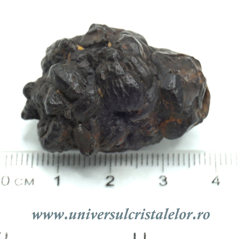 Piatra Profetiei (Piatra profetului)