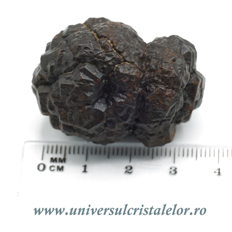 Piatra Profetiei (Piatra profetului)