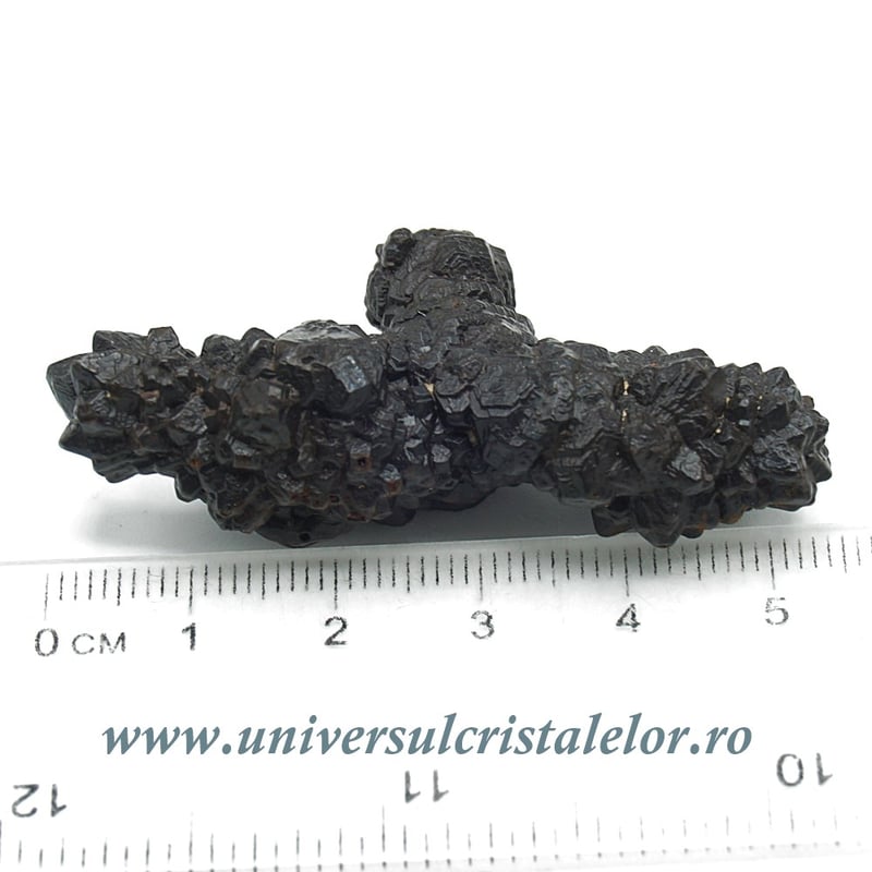 Piatra Profetiei (Piatra profetului)