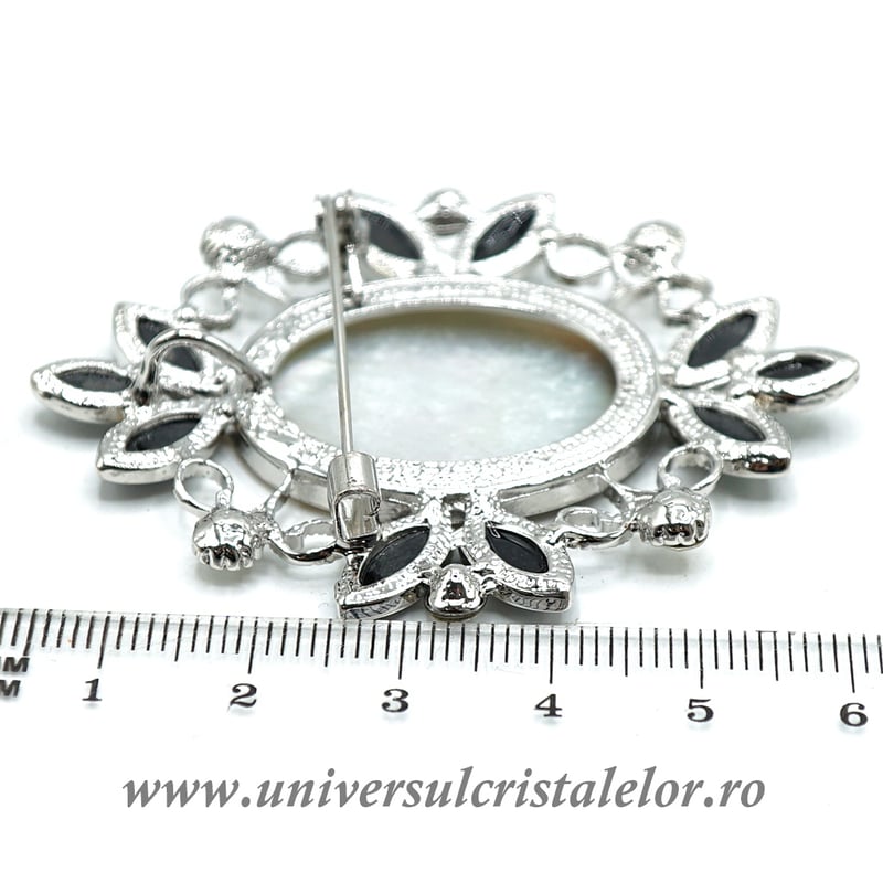 Brosa pandantiv abalone - tablou