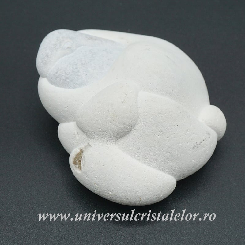 Piatra Zanelor ( menilit )