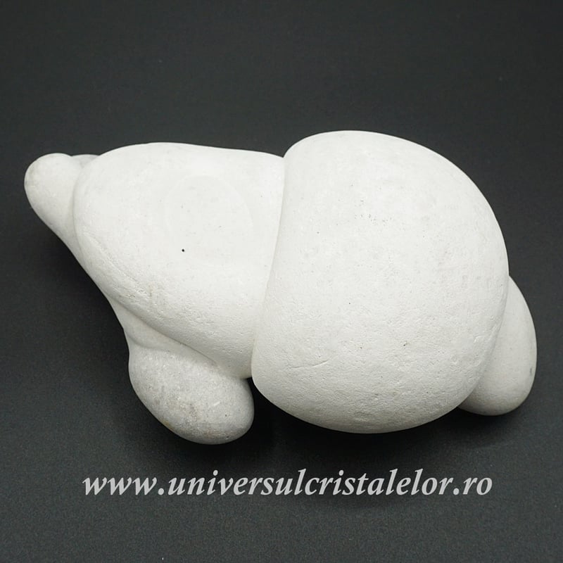 Piatra Zanelor ( menilit )