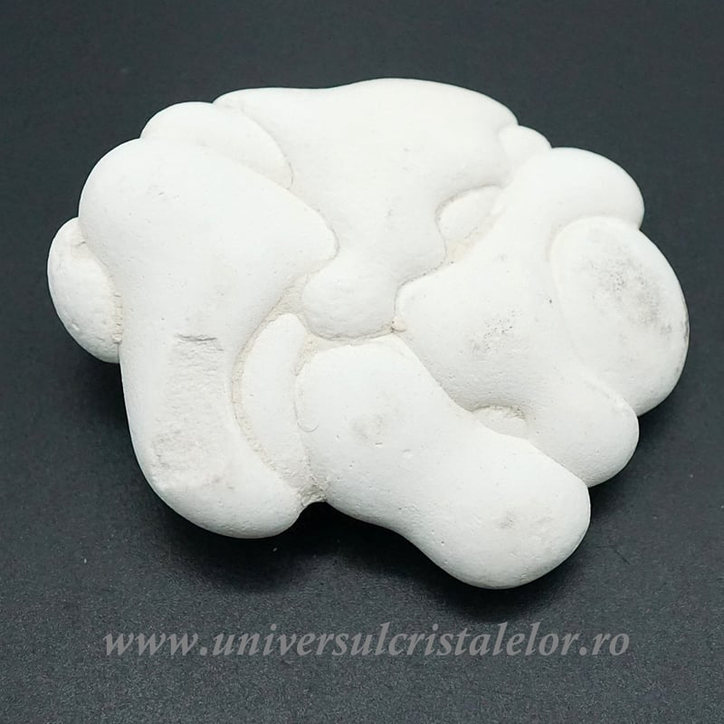 Piatra Zanelor ( menilit )