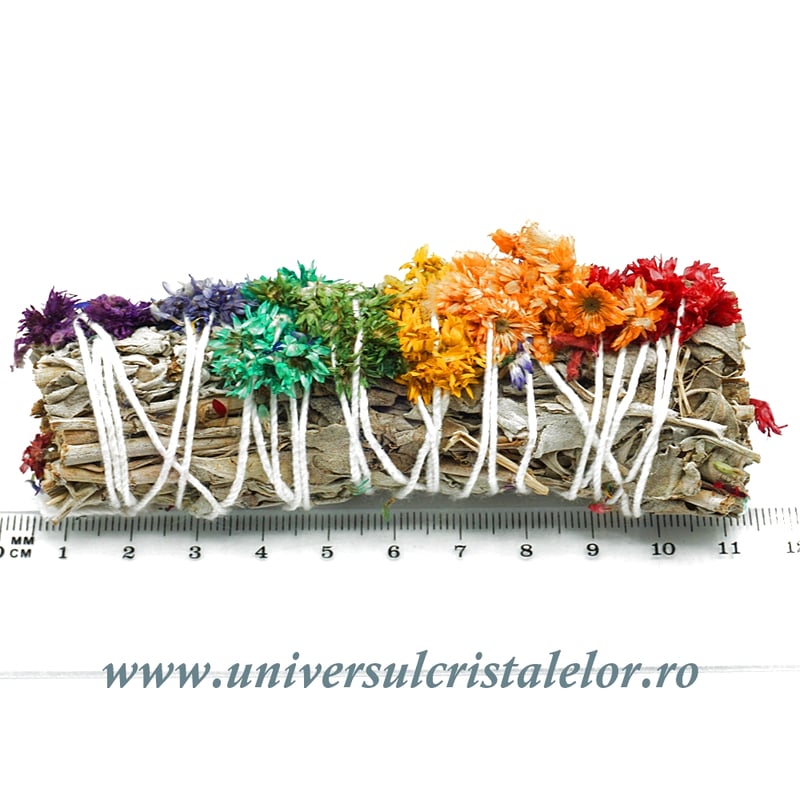 Salvie alba cu flori Verbasco7 chakre