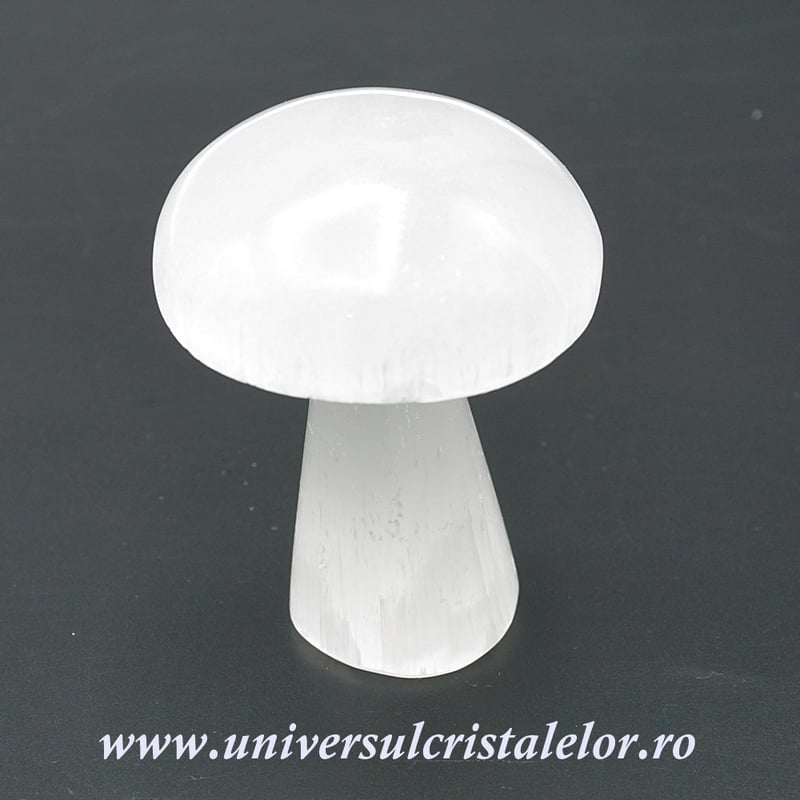 Selenit ciuperca alb 7 cm