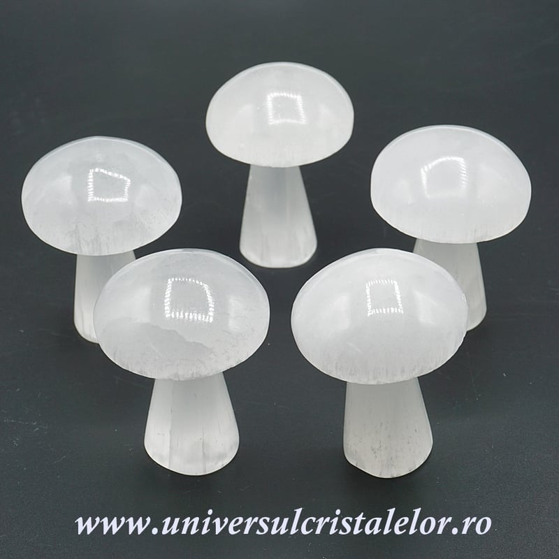 Selenit ciuperca alb 7 cm