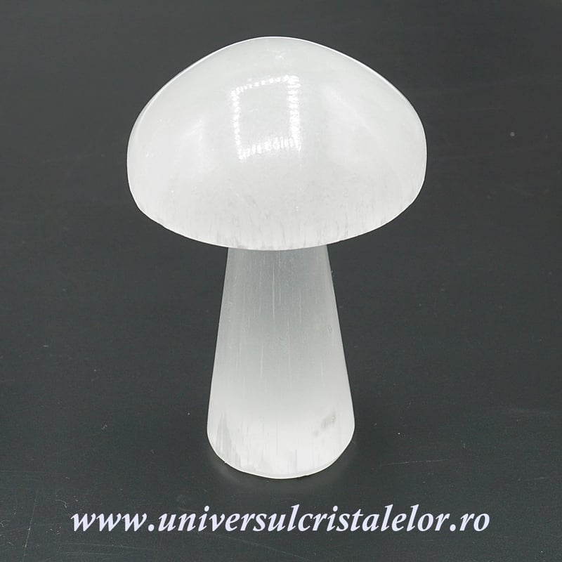 Selenit ciuperca alb 10 cm