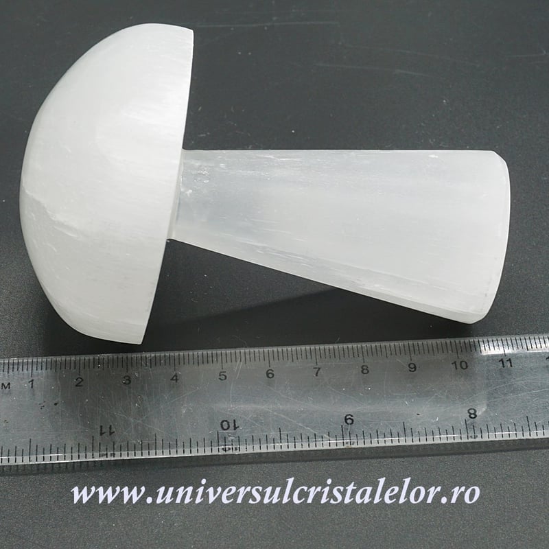 Selenit ciuperca alb 10 cm