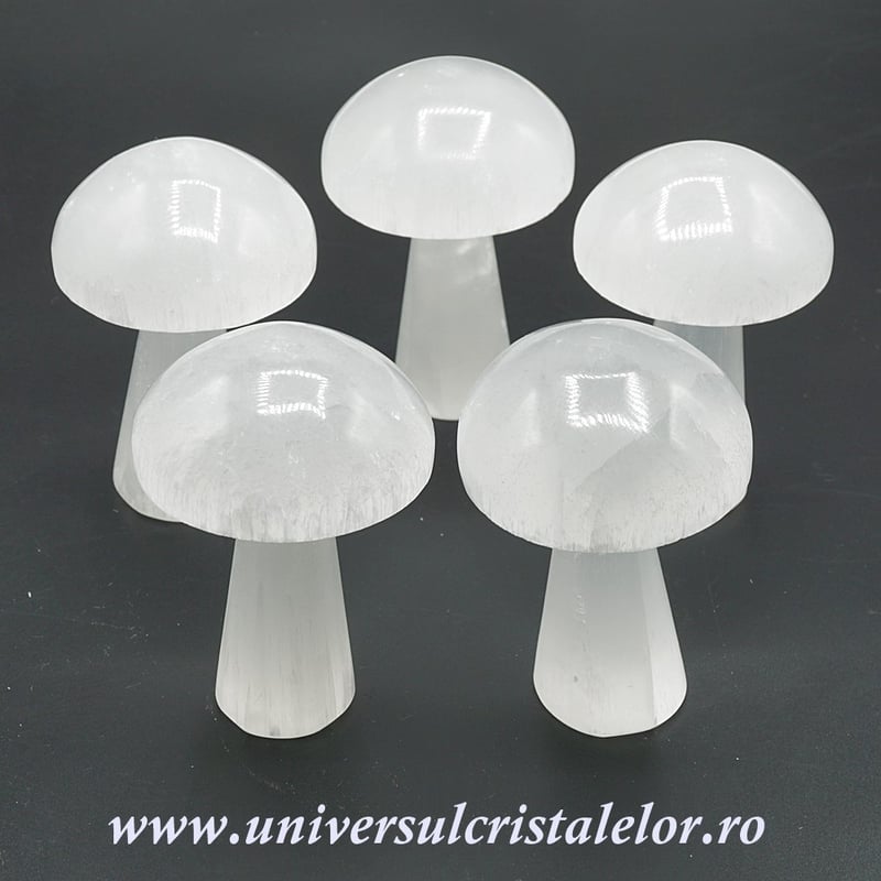 Selenit ciuperca alb 10 cm