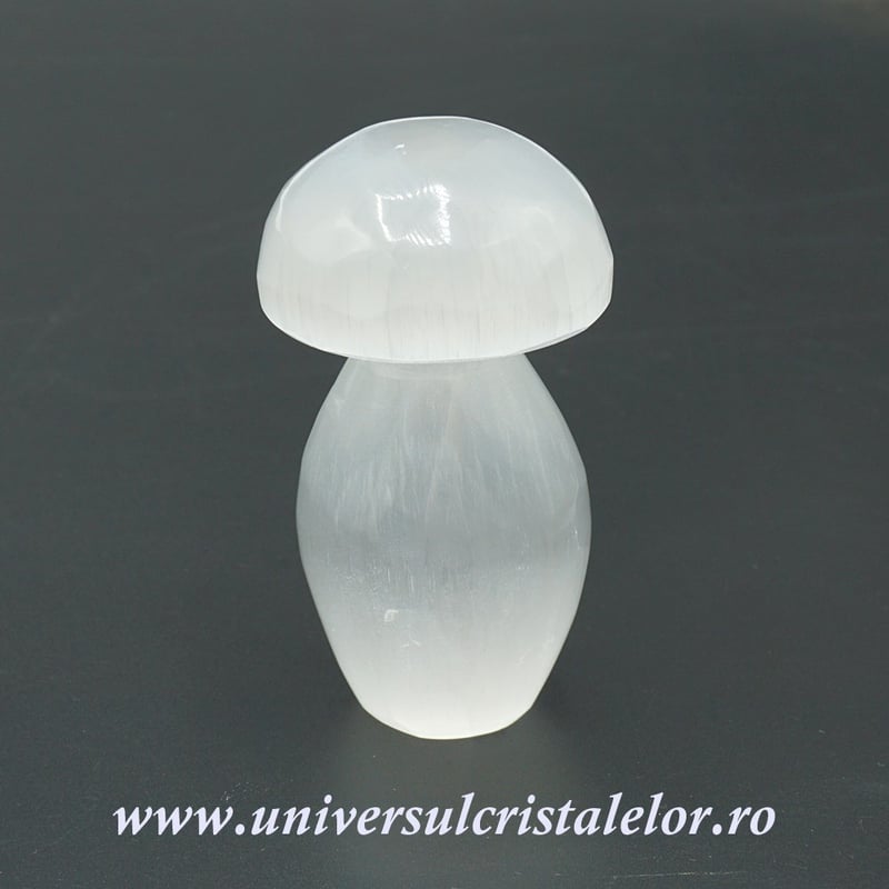Selenit ciuperca 8 cm