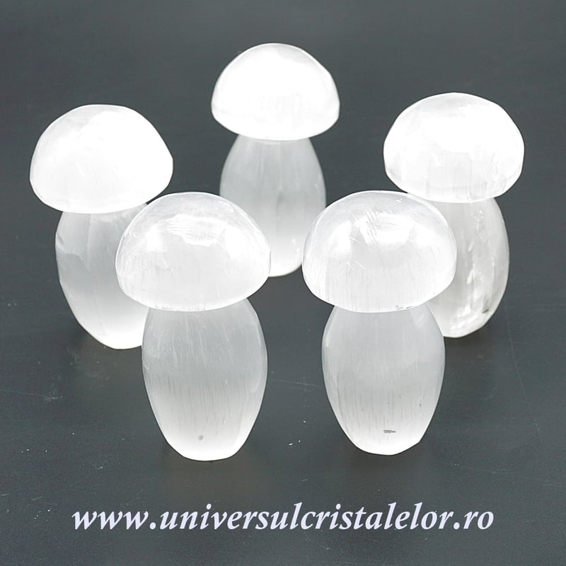 Selenit ciuperca 8 cm