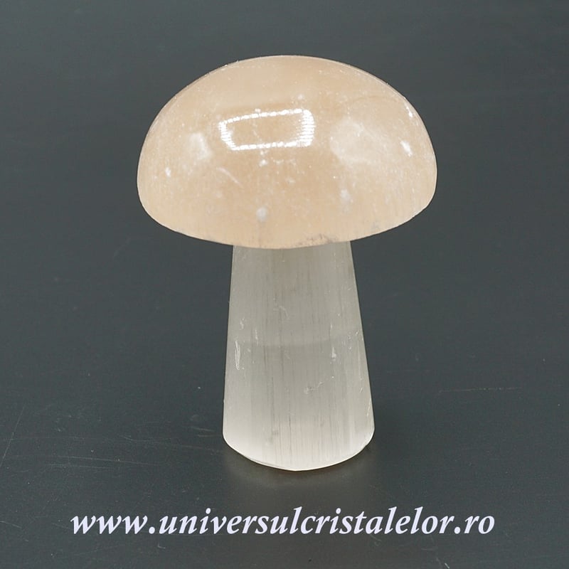 Selenit ciuperci