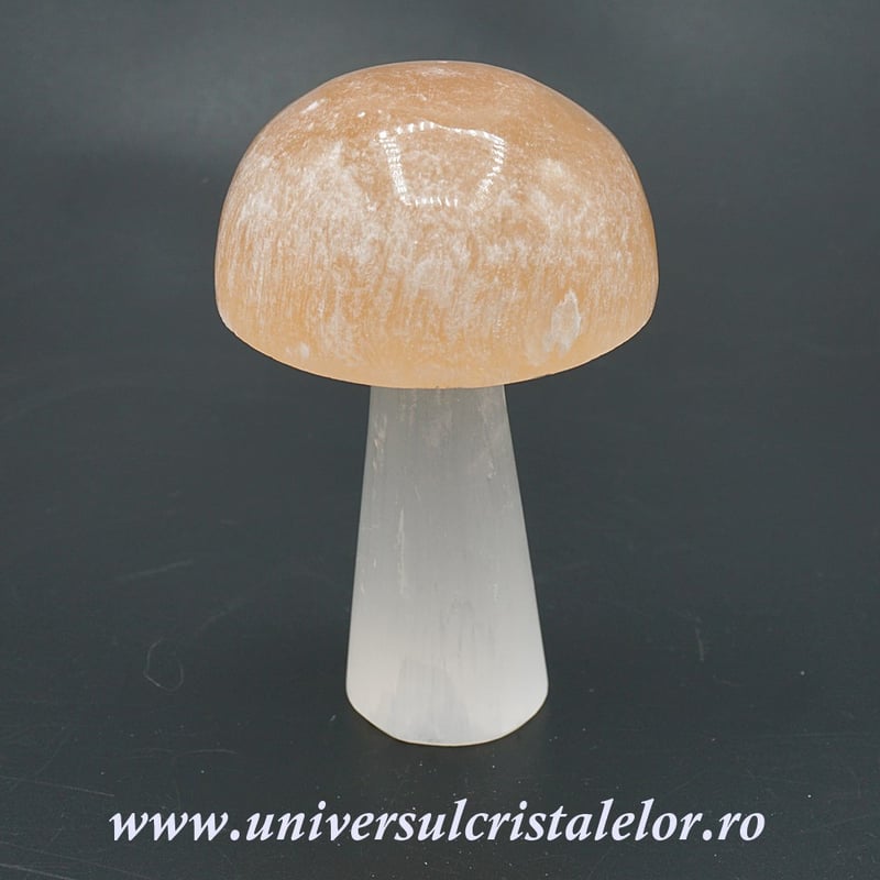 Selenit ciuperci