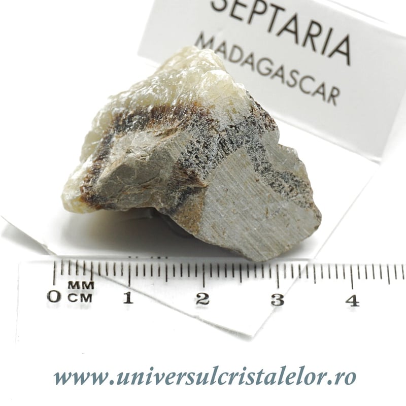 Septaria