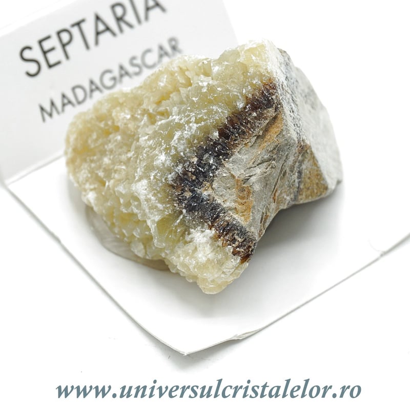Septaria