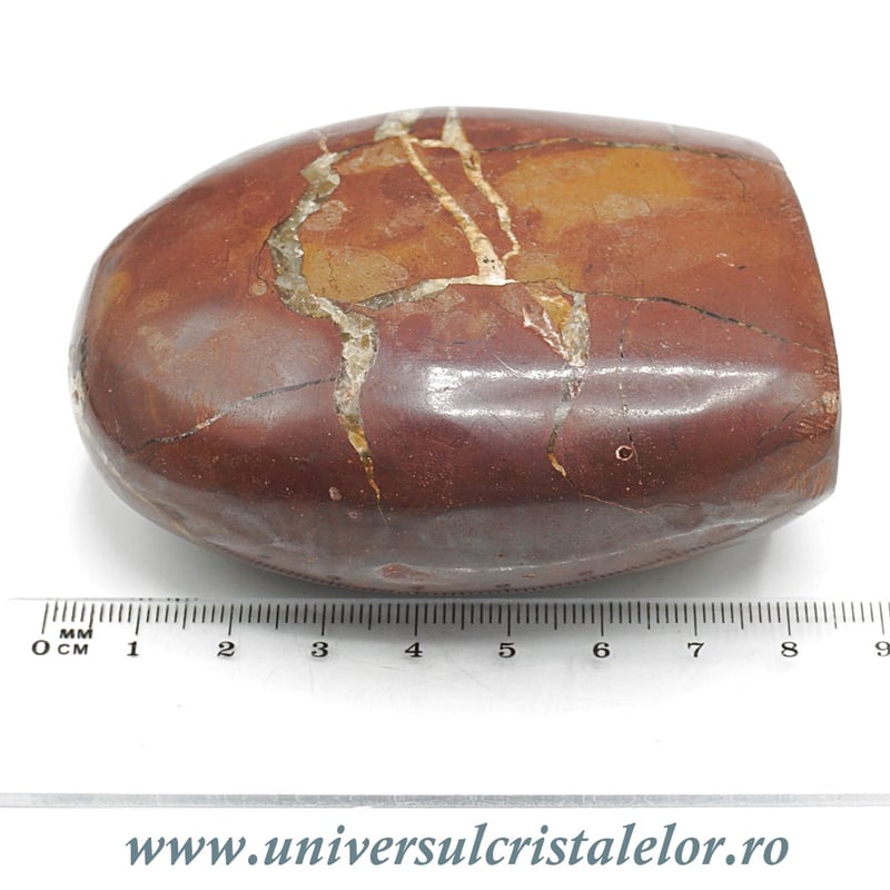 Sculptura septaria rosie