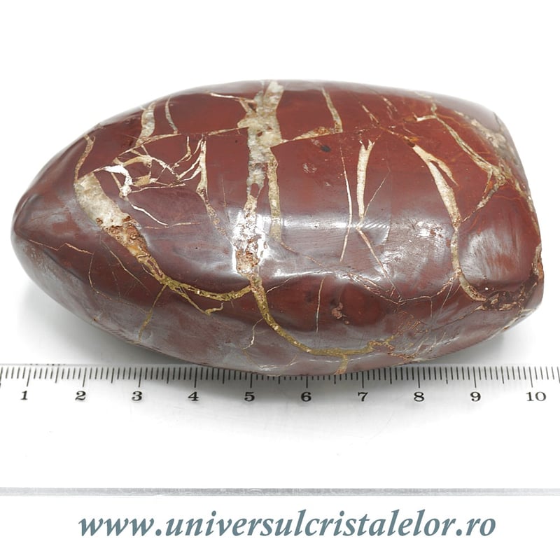 Sculptura septaria rosie