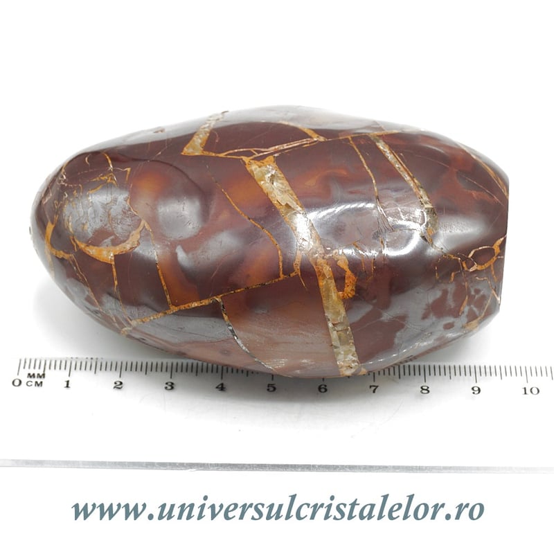 Sculptura septaria rosie