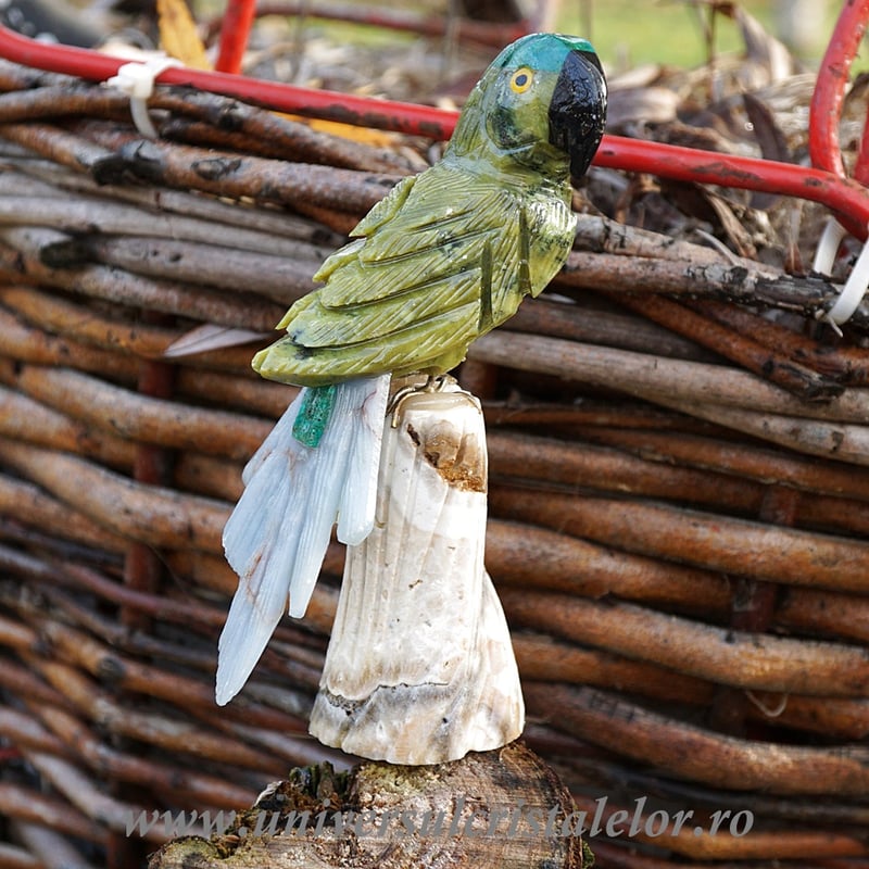 Papagal serpentin m4