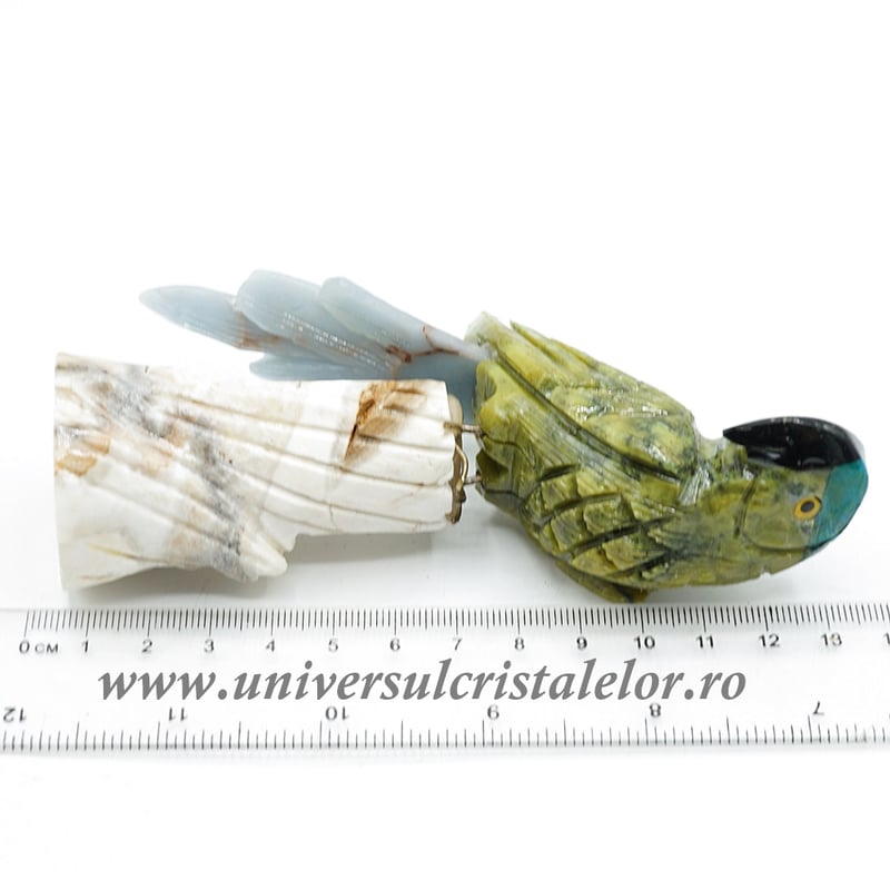 Papagal serpentin m4