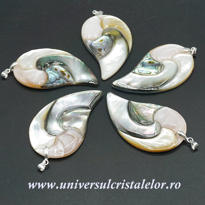 Pandantiv scoica paua si sidef