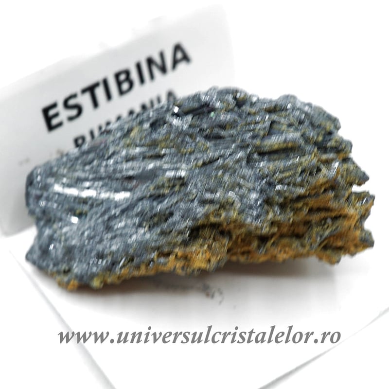 Stibina
