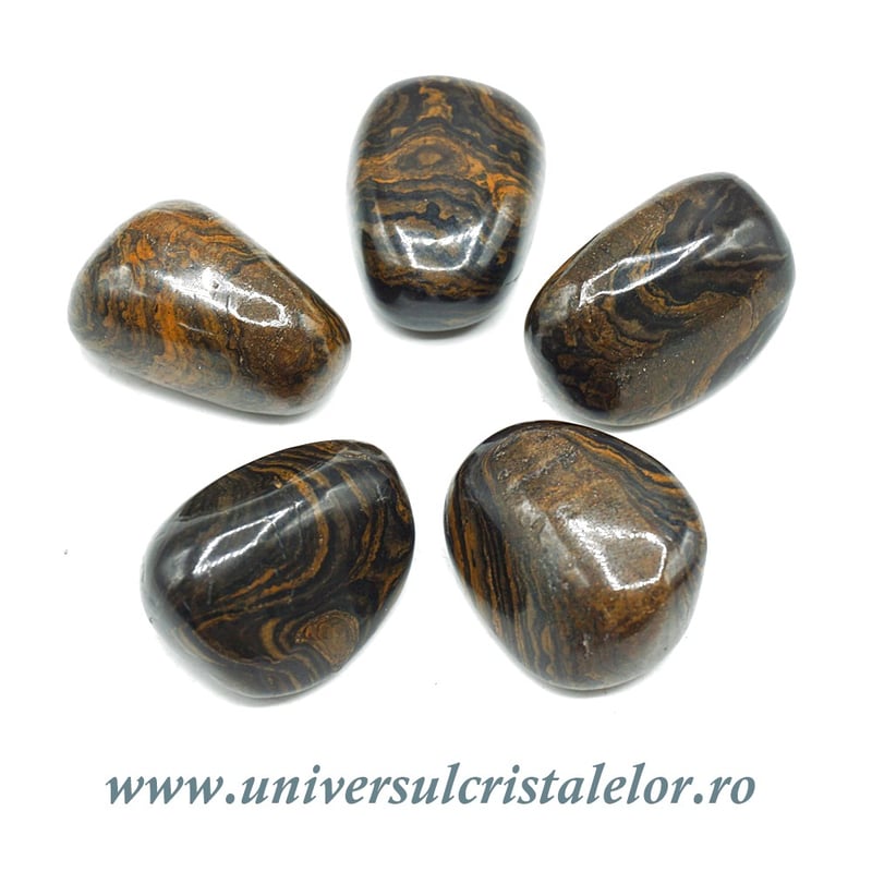 Stromatolit piatra rulata