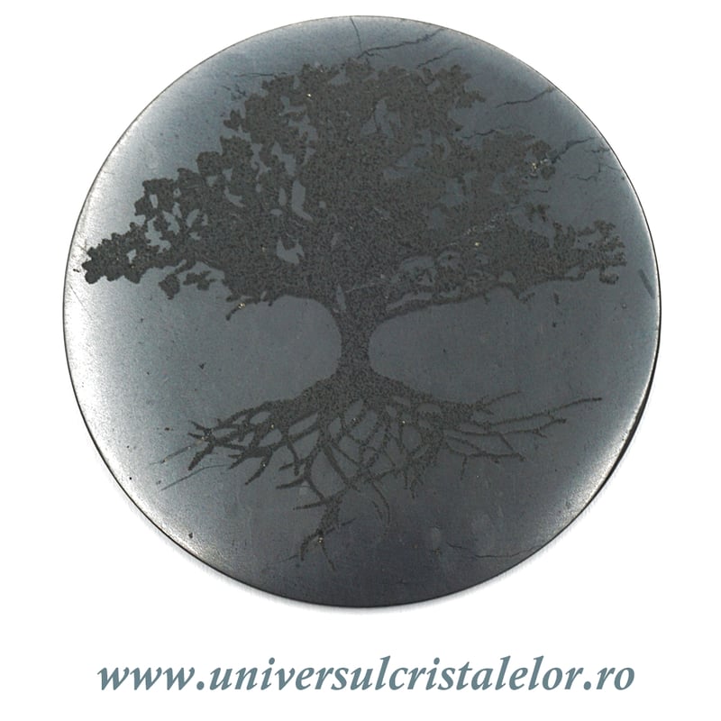 Shungit pomul vietii