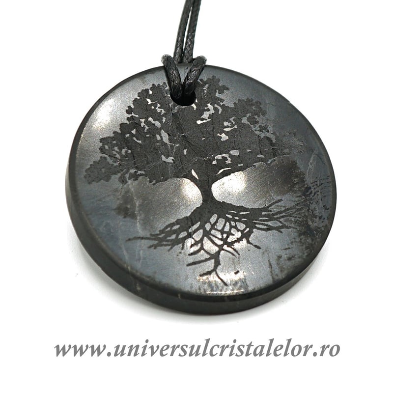 Pandantiv shungit pomul vietii