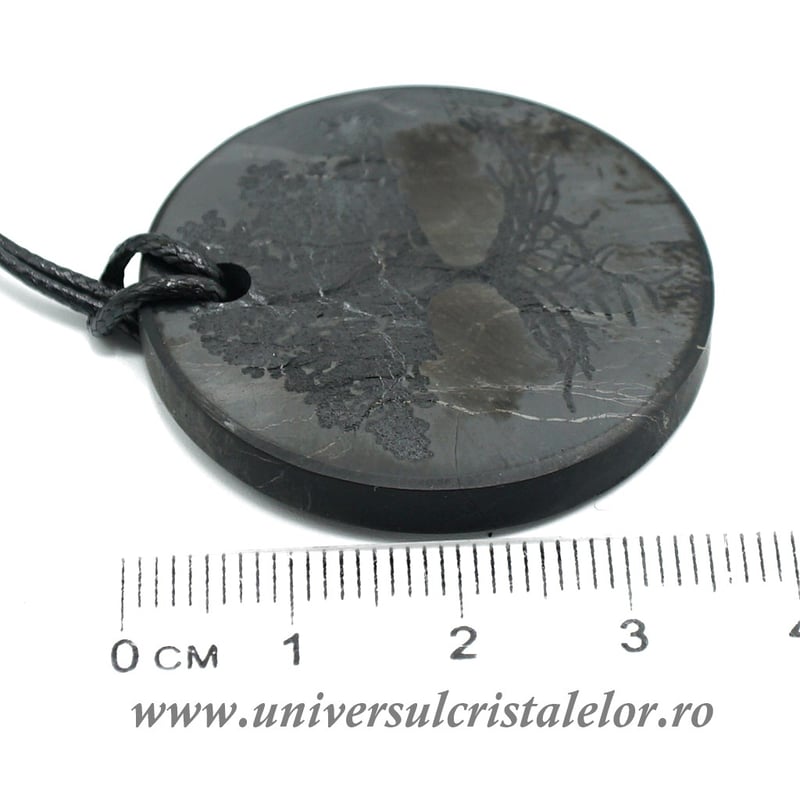 Pandantiv shungit pomul vietii