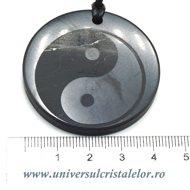 Pandantiv shungit Yin & Yang